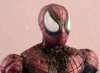 Spider-Man (Spider-Man) Custom Action Figure