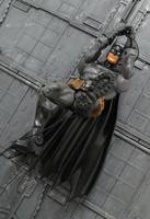 Batman (DC Superheroes) Custom Action Figure
