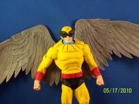 Birdman (DC Universe) Custom Action Figure