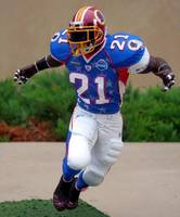 Sean Taylor Pro Bowl 2007 (NFL) Custom Action Figure