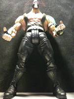 Bane (DC Universe) Custom Action Figure
