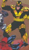 Master of Vengeance (Spider-Man) Custom Action Figure