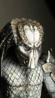 Setg'-in (Predator) Custom Action Figure