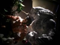Wendigo (X-Men) Custom Action Figure