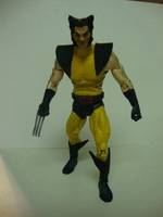 Wolverine (DC Universe) Custom Action Figure