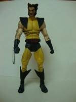 Wolverine (DC Universe) Custom Action Figure