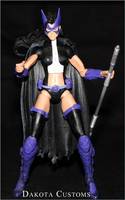 Huntress (DC Universe) Custom Action Figure