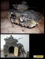 Bradley Fighting Vehicle (Soldier) Custom Vehicle