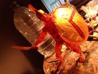 Firey Leonidas (300) Custom Action Figure