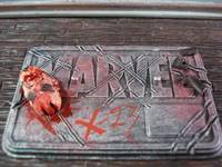 X-23 (X-Force, Metallic Claws, Character Themed Base) (Marvel Universe) Custom Action Figure