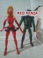 Redninja (Original) Custom Action Figure