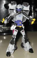 Nightbird (Transformers - Animated) Custom Action Figure