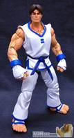 SNK Kim Kaphwan (King of Fighters) Custom Action Figure