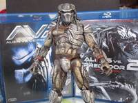 PREDATOR, Human Hunter and Xenomorph Hunter. (Predator) Custom Action Figure