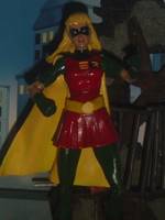 Robin Cassie (Batman - Mystery of the Batwoman) Custom Action Figure