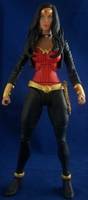 Wonder Woman (DC Universe) Custom Action Figure