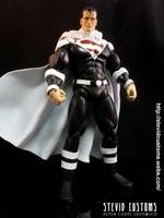 Justice Lord Superman (DC Universe) Custom Action Figure