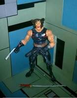 A.O.a Wolverine (Marvel Legends) Custom Action Figure