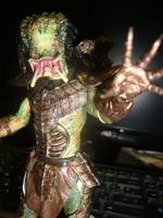 Predator Warrior (Predator) Custom Action Figure