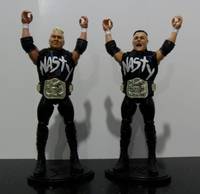 The Nasty Boys (Wrestling) Custom Action Figure