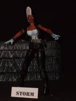 Storm (Mohawk) (Marvel Legends) Custom Action Figure