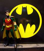 Robin (DC Universe) Custom Action Figure