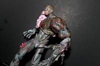 Tyrant Palasides Series (Resident Evil) Custom Action Figure