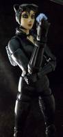 Arkham City Catwoman (V2) (Batman - Arkham City) Custom Action Figure