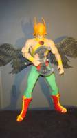 Hawkman (DC Universe) Custom Action Figure