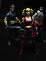 Arkham City Harley Quinn (Batman - Arkham City) Custom Action Figure