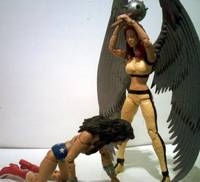Shayera Hol 'Hawkgirl' (DC Universe) Custom Action Figure