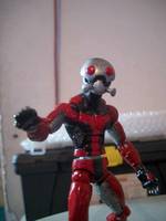 Ant Man (Marvel Legends) Custom Action Figure