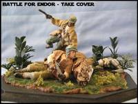 Star Wars (Star Wars) Custom Action Figure