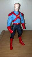Supergenius (DC Direct) Custom Action Figure