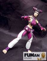 Han Juri (Street Fighter 4) (Street Fighter) Custom Action Figure