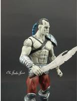 Hiroim of the Warbound (Incredible Hulk) Custom Action Figure