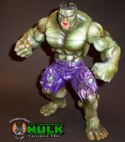 Hulk (Hulk - Movie) Custom Action Figure
