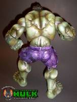 Hulk (Hulk - Movie) Custom Action Figure