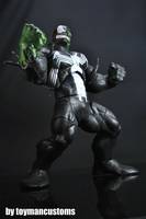 Hulkvenom (Incredible Hulk) Custom Action Figure