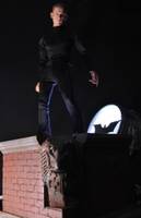 Rooftop Diorama  for Hottoy Figure (Batman) Custom Diorama / Playset