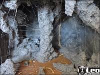 Shelob`S Lair (Lord of the Rings) Custom Diorama / Playset