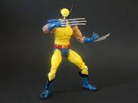 Marvel Classics Wolverine (DC Universe) Custom Action Figure