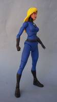 Marvel Universe Classics Invisible Woman (DC Universe) Custom Action Figure