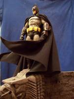 Arkham City Batman (Batman - Arkham City) Custom Action Figure
