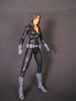 Talia Al Ghul V2 (DC Universe) Custom Action Figure