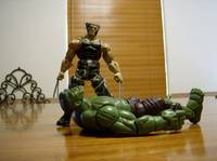 Wolverine (Capcom) Custom Action Figure