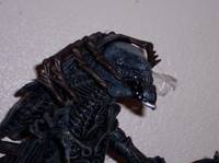 Predalien Queen (Predator) Custom Action Figure