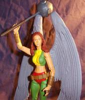 Shayera Hol 'Hawkgirl' (Version 2) (DC Universe) Custom Action Figure