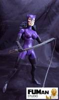 DC Catwoman (DC Universe) Custom Action Figure