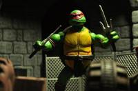 Raphael (Teenage Mutant Ninja Turtles) Custom Action Figure